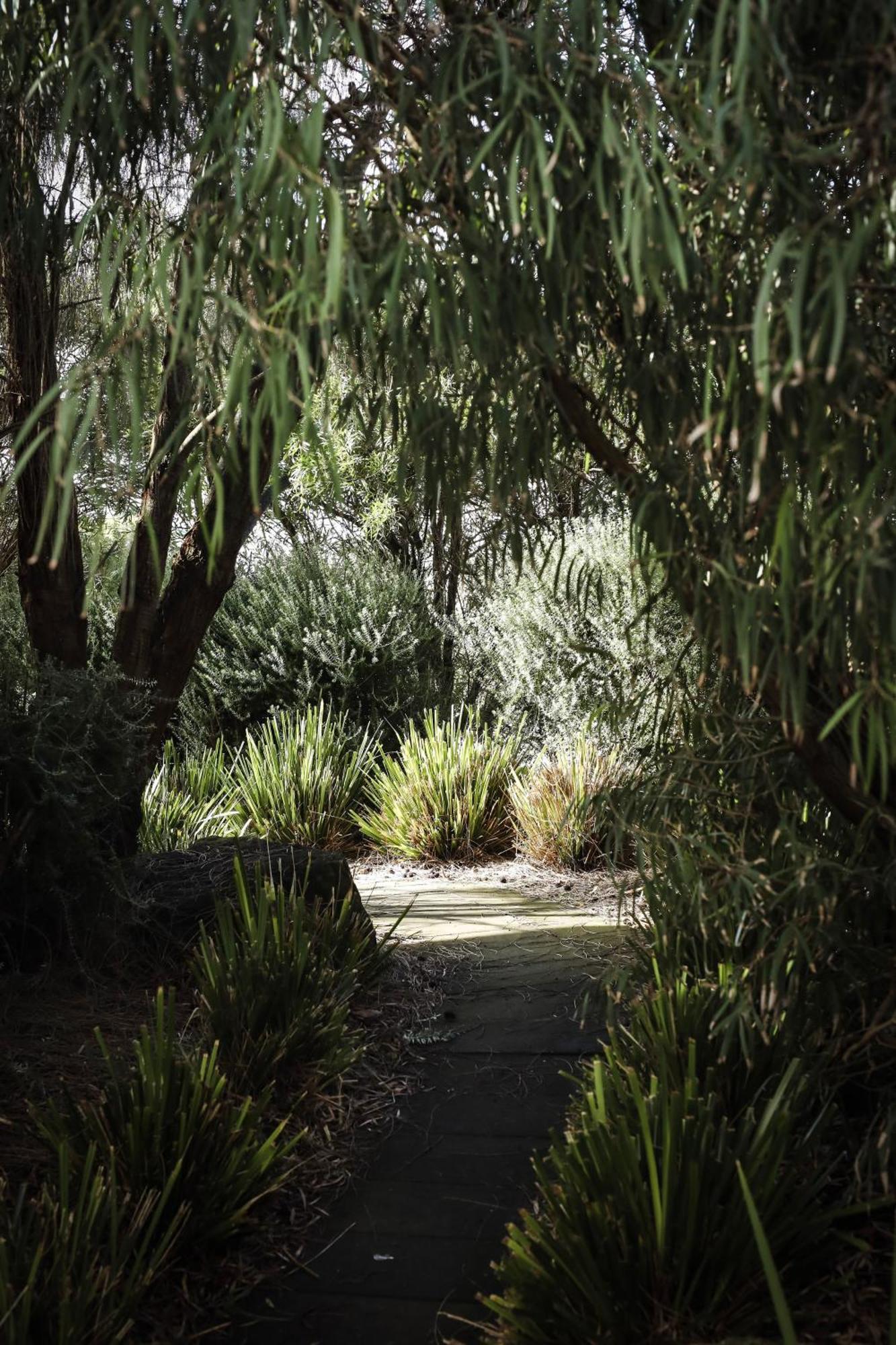 12 Apostles Accommodation Anchors Beach House With Sea Views Port Campbell Bagian luar foto